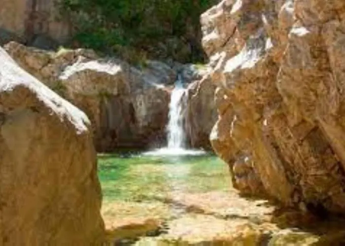 L'oso * Porto Vecchio