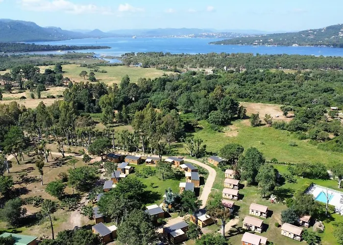 L'oso Porto Vecchio