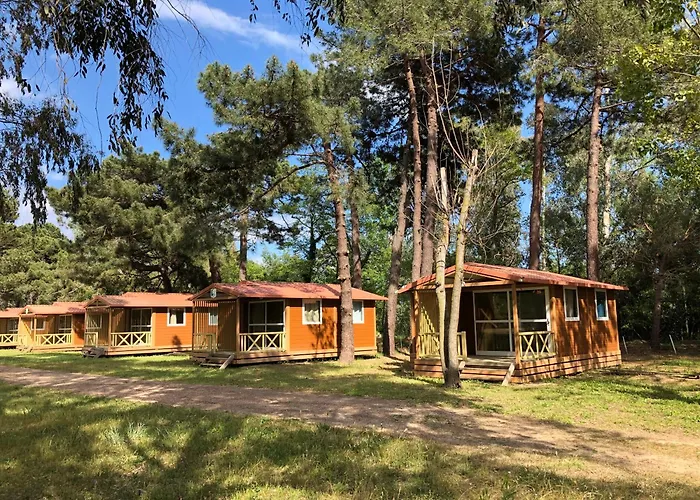 L'oso * Porto Vecchio