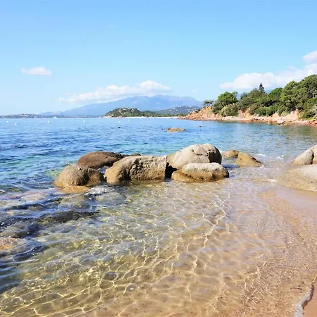 L'oso Campsite Porto-Vecchio (Corsica)