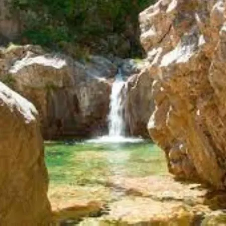 L'oso * Porto-Vecchio (Corsica)