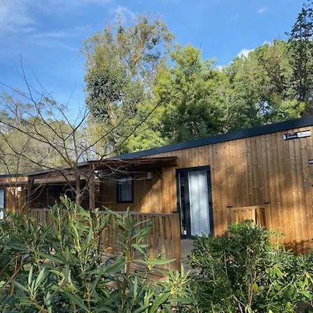 L'oso Porto-Vecchio (Corsica)