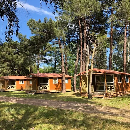 L'oso * Порто-Веккьо