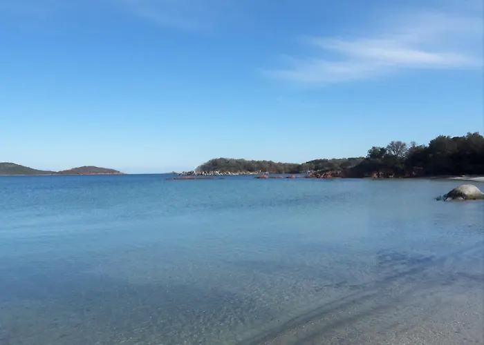 L'oso * Porto-Vecchio (Corsica)