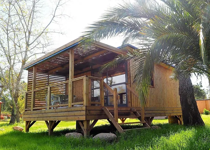 L'oso Camping *